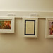Lisa Whittaker Photo 35
