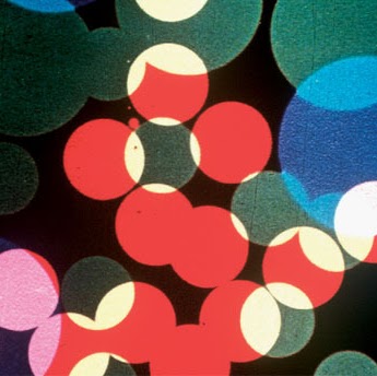 Alec Bailey Photo 22