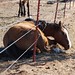 Barb Huff Photo 28
