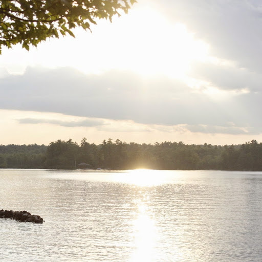 Tara Fitzpatrick Photo 12