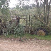 Dale Mayfield Photo 18