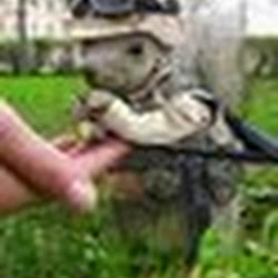 Samuel Derrick Photo 13