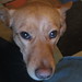 Janie Morris Photo 21