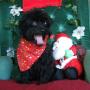 Janice Meeks Photo 9