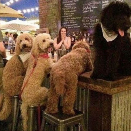 Marlene Sears Photo 14