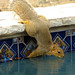 Karen Alston Photo 8