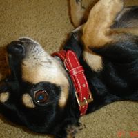 Billy Madison Photo 10