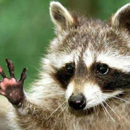 Kathy Morris Photo 17