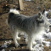 Randy Mccullough Photo 32