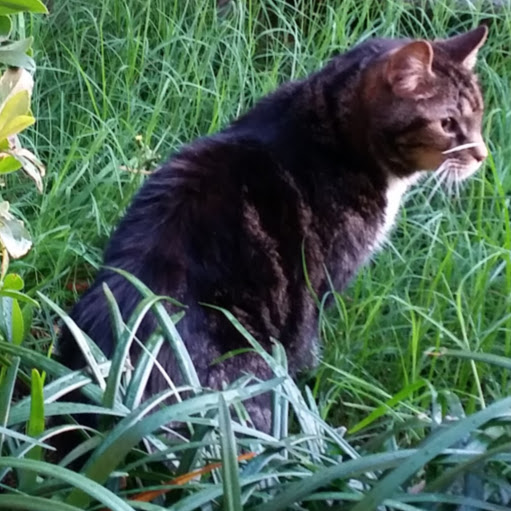 Harry Adams Photo 23