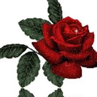 Julia Hogan Photo 35