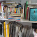 Edward Nieves Photo 44
