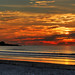 Dawn Wallis Photo 27