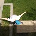 Josh Bird Photo 11
