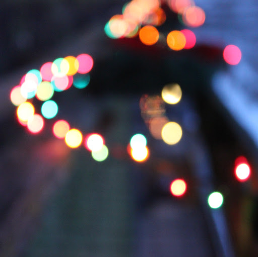 Elizabeth Rodgers Photo 4