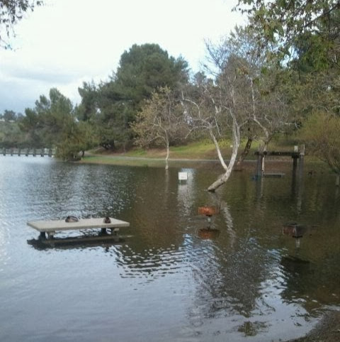 Kimberly Trumble Photo 5