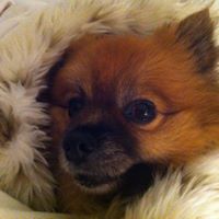 Amy Keating Photo 11