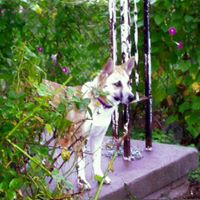 Mary Mccomas Photo 21