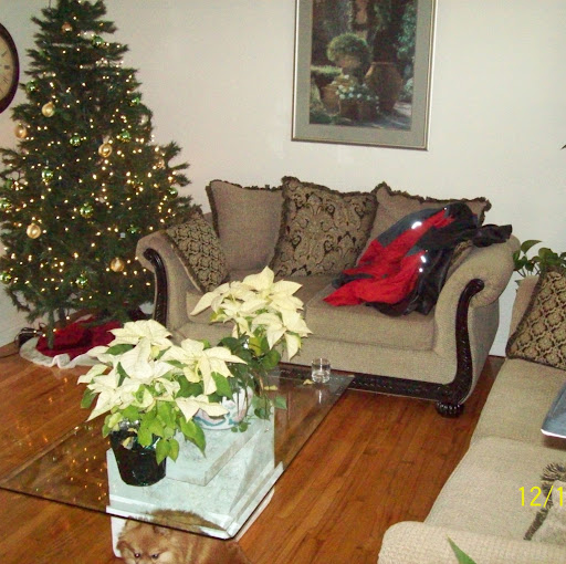 Christopher Hailey Photo 21