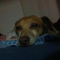 David Saunders Photo 35 David Saunders Photo 35