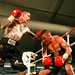 Robert Comer Photo 38