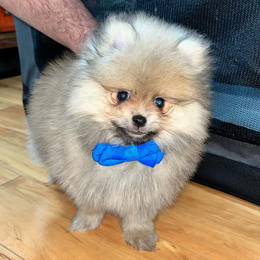 Amy Maldonado Photo 31 Amy Maldonado Photo 31