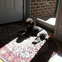 Judy Dickerson Photo 30