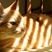 Robert Weaver Photo 24