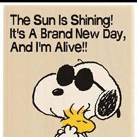 Nancy Light Photo 21