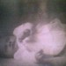 Vicki Lynne Photo 13