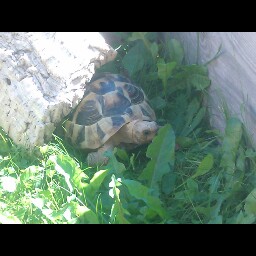 Louise Rose Photo 28