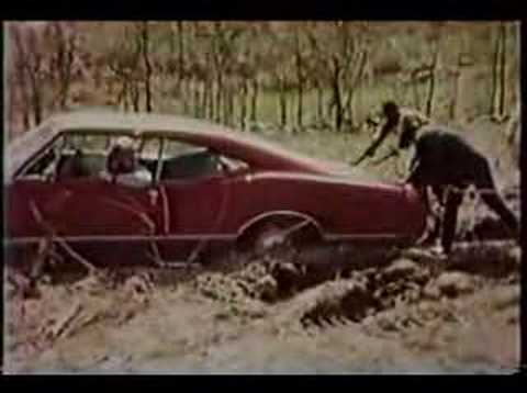 Darrell Cook Photo 32