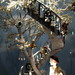 David Goodman Photo 29