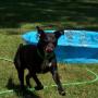 Darlene Greene Photo 27