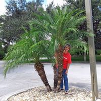 Cindy Prescott Photo 34