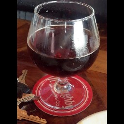 Joe Palmisano Photo 18