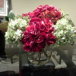 Stacie Lewis Photo 11