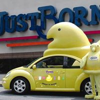 Beth Reynolds Photo 3