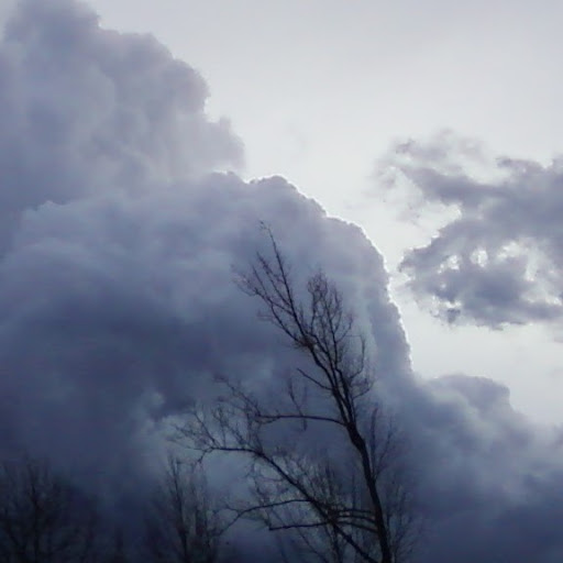 Cindy Wilson Photo 6