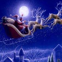 Roberta Murphy Photo 24