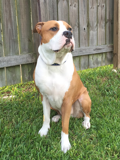 Theodore Jones Photo 27