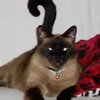 Sharron Jenkins Photo 15