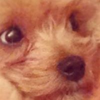 Tracy Mcgregor Photo 27