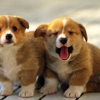 Janet Cortez Photo 22