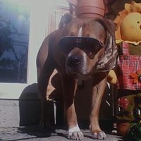 Christopher Lock Photo 15