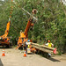 Troy Workman Photo 15