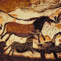 Mark Wiener Photo 13