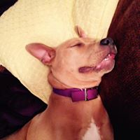 Cynthia Mcmahon Photo 29