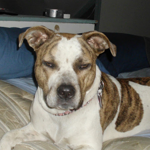 April Hudgins Photo 12