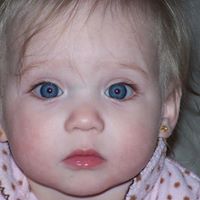 Marlene Alexander Photo 32